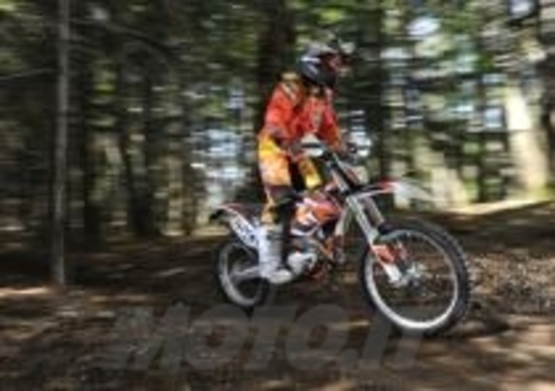 Freeride 250R
