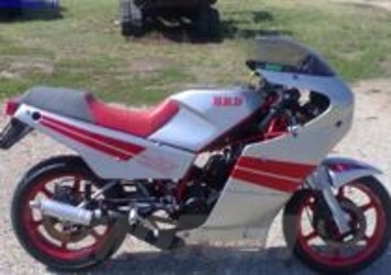 HRD 125 Silver Horse
