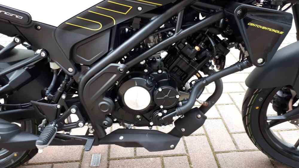 Benelli Leoncino 125 (2022 - 25) (3)