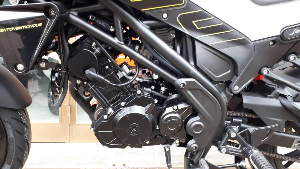 Benelli Leoncino 125 (2022 - 25) (6)