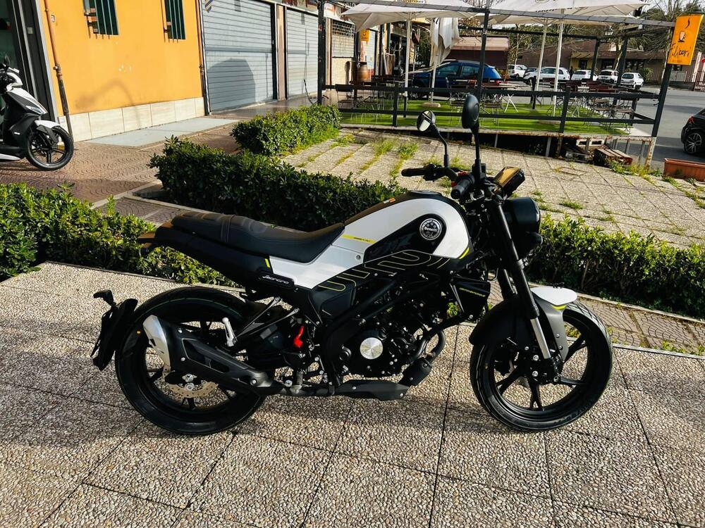 Benelli Leoncino 125 (2022 - 25) (4)