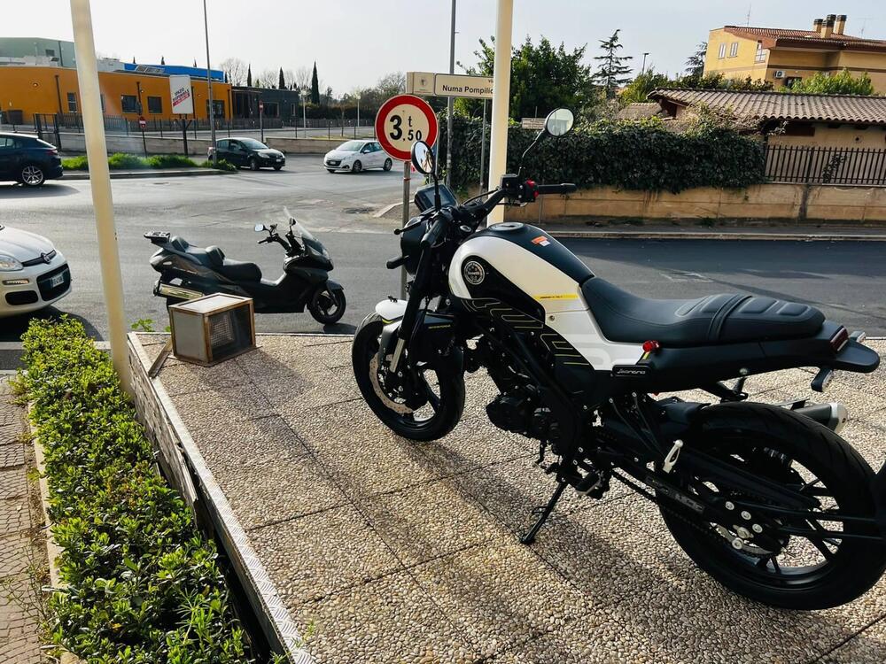 Benelli Leoncino 125 (2022 - 25) (5)