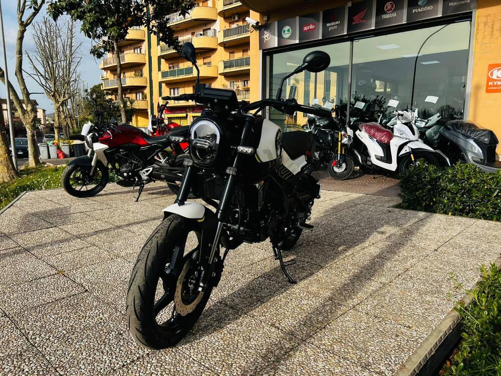Benelli Leoncino 125 (2022 - 25) (12)