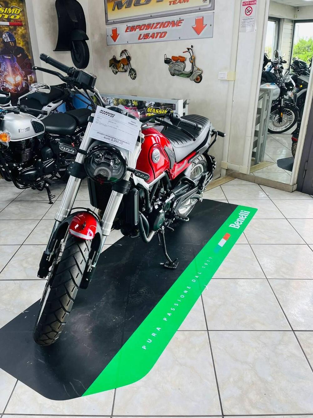 Benelli Leoncino 500 Trail (2021 - 25) (5)