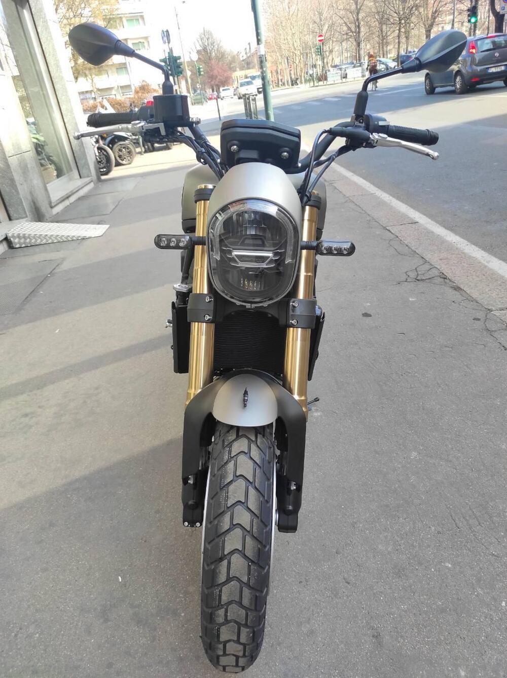 Benelli Leoncino 800 (2022 - 25) (5)