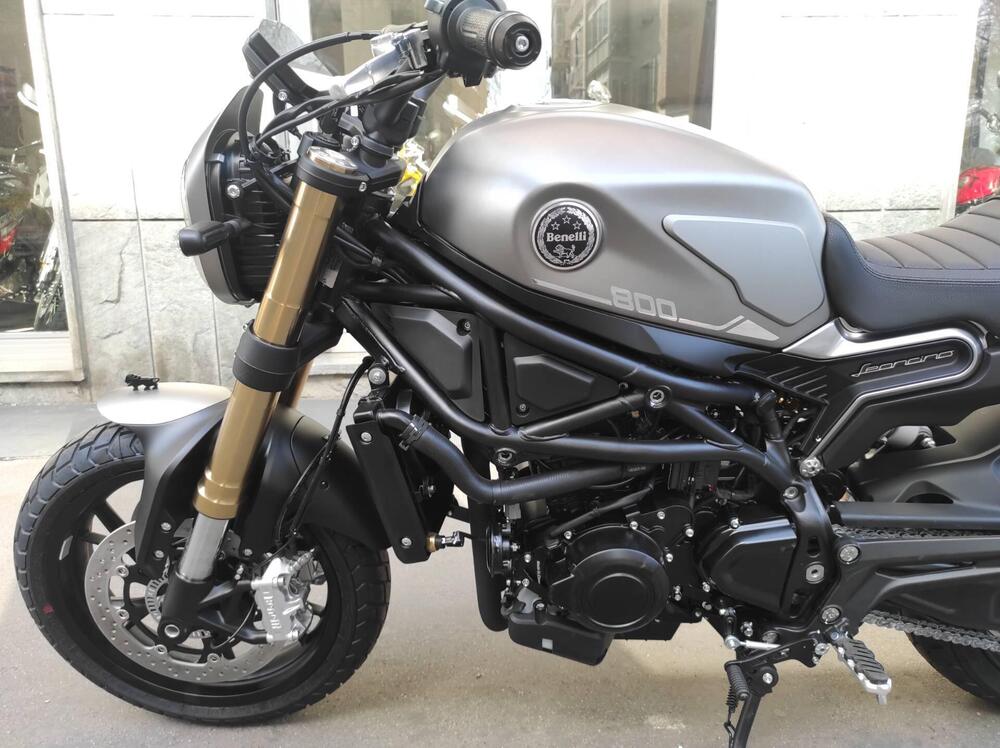 Benelli Leoncino 800 (2022 - 25) (9)