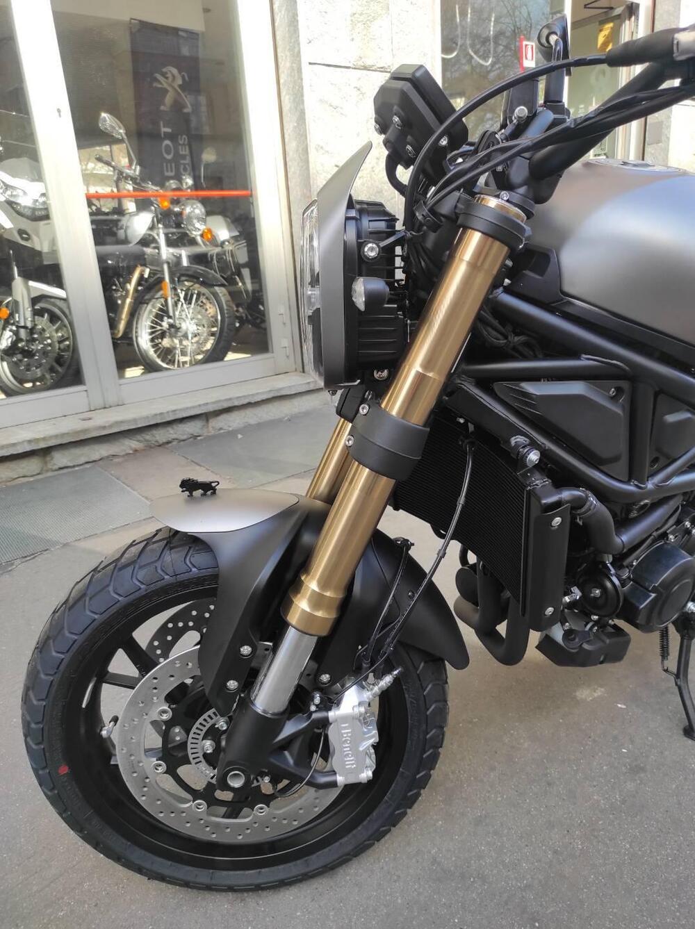 Benelli Leoncino 800 (2022 - 25) (11)