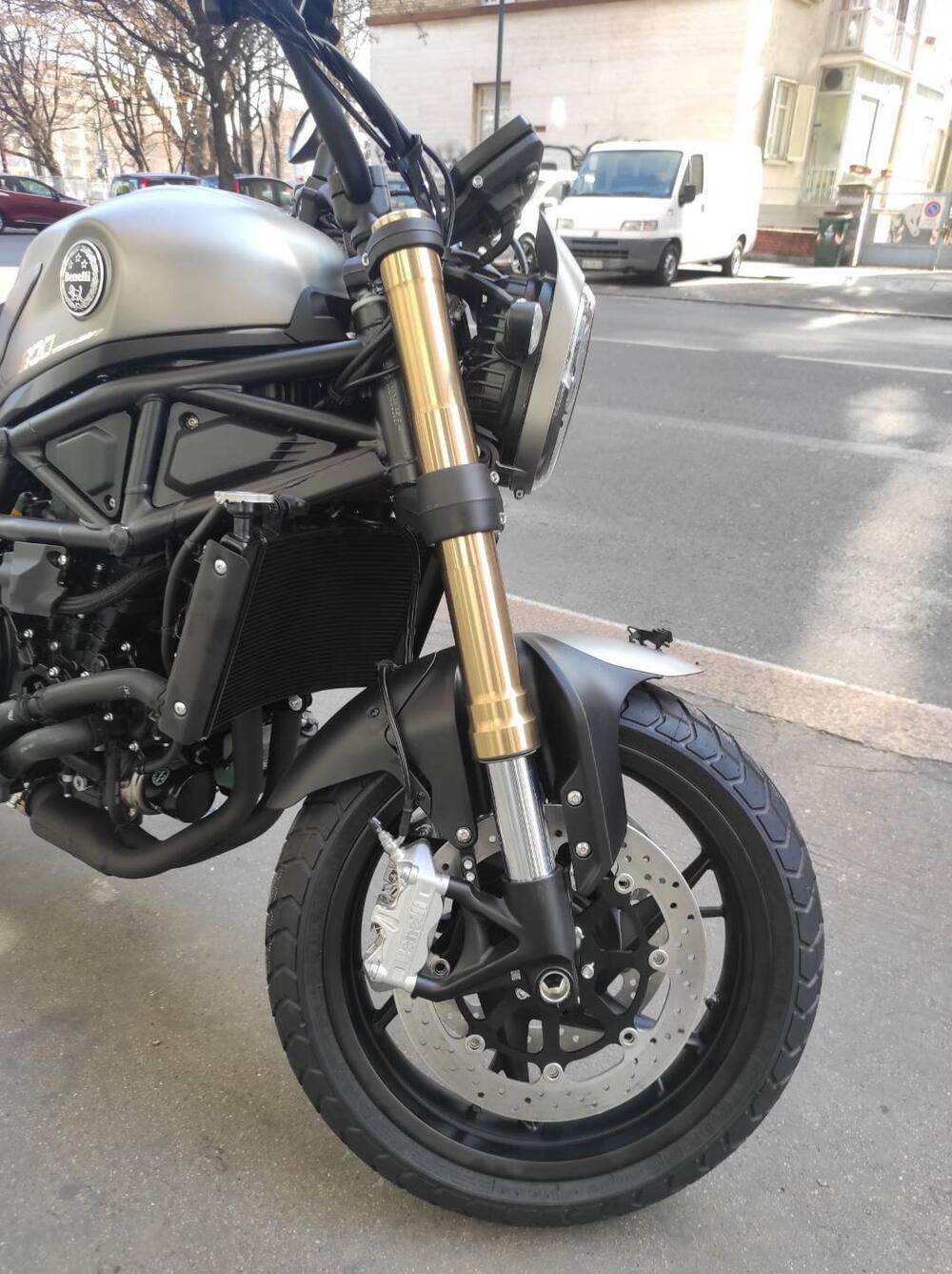 Benelli Leoncino 800 (2022 - 25) (12)