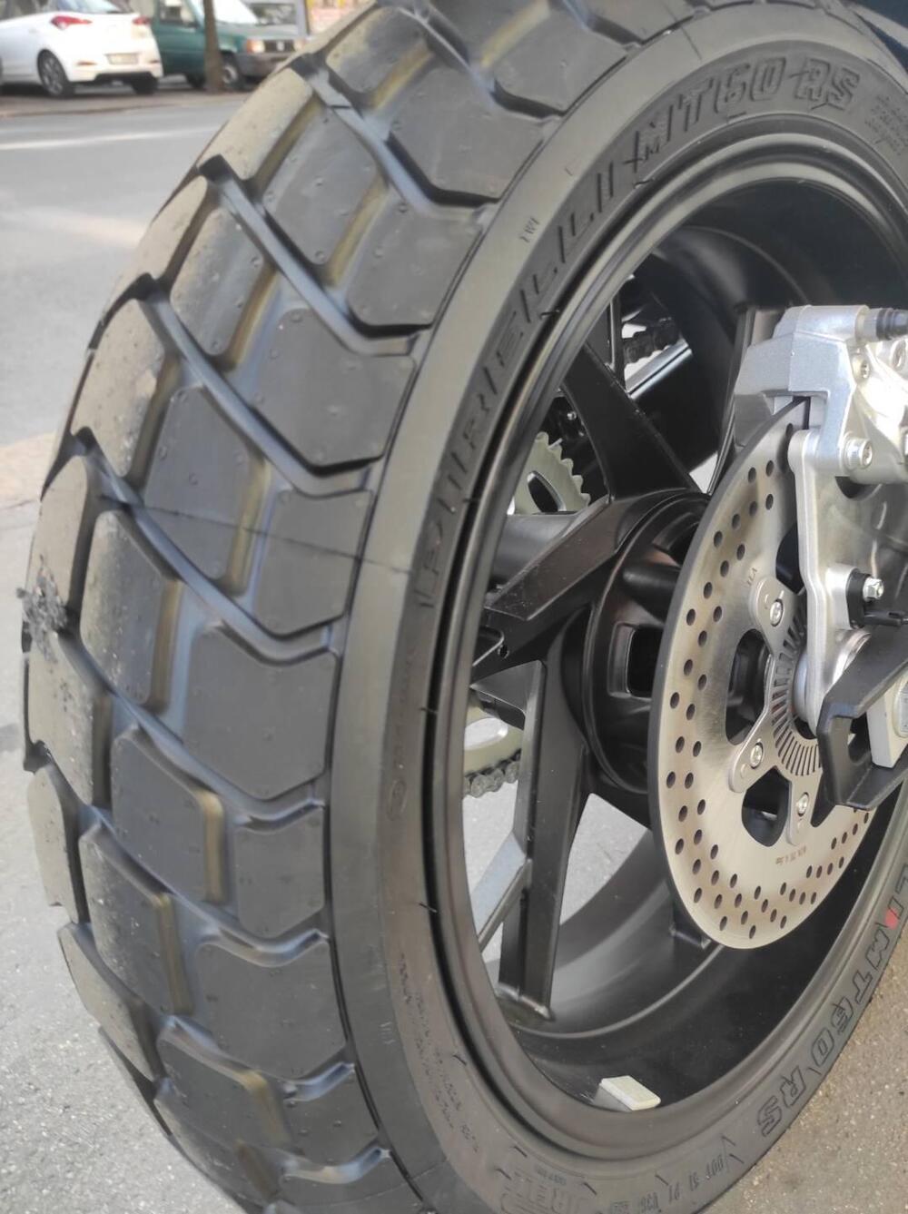 Benelli Leoncino 800 (2022 - 25) (13)