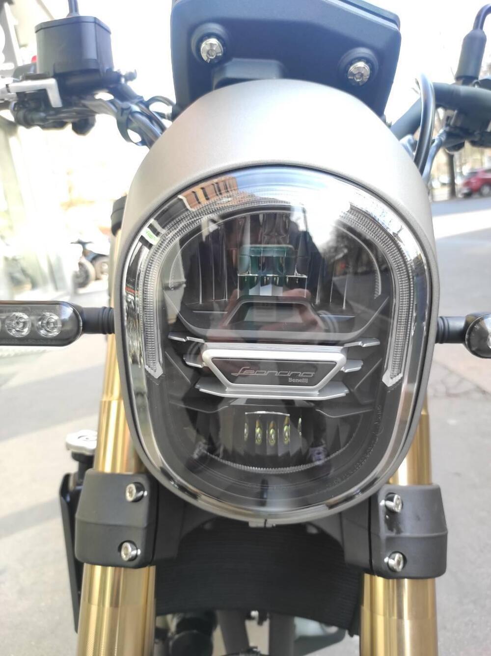 Benelli Leoncino 800 (2022 - 25) (5)