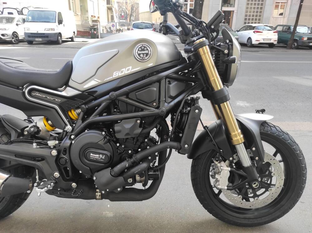 Benelli Leoncino 800 (2022 - 25) (9)