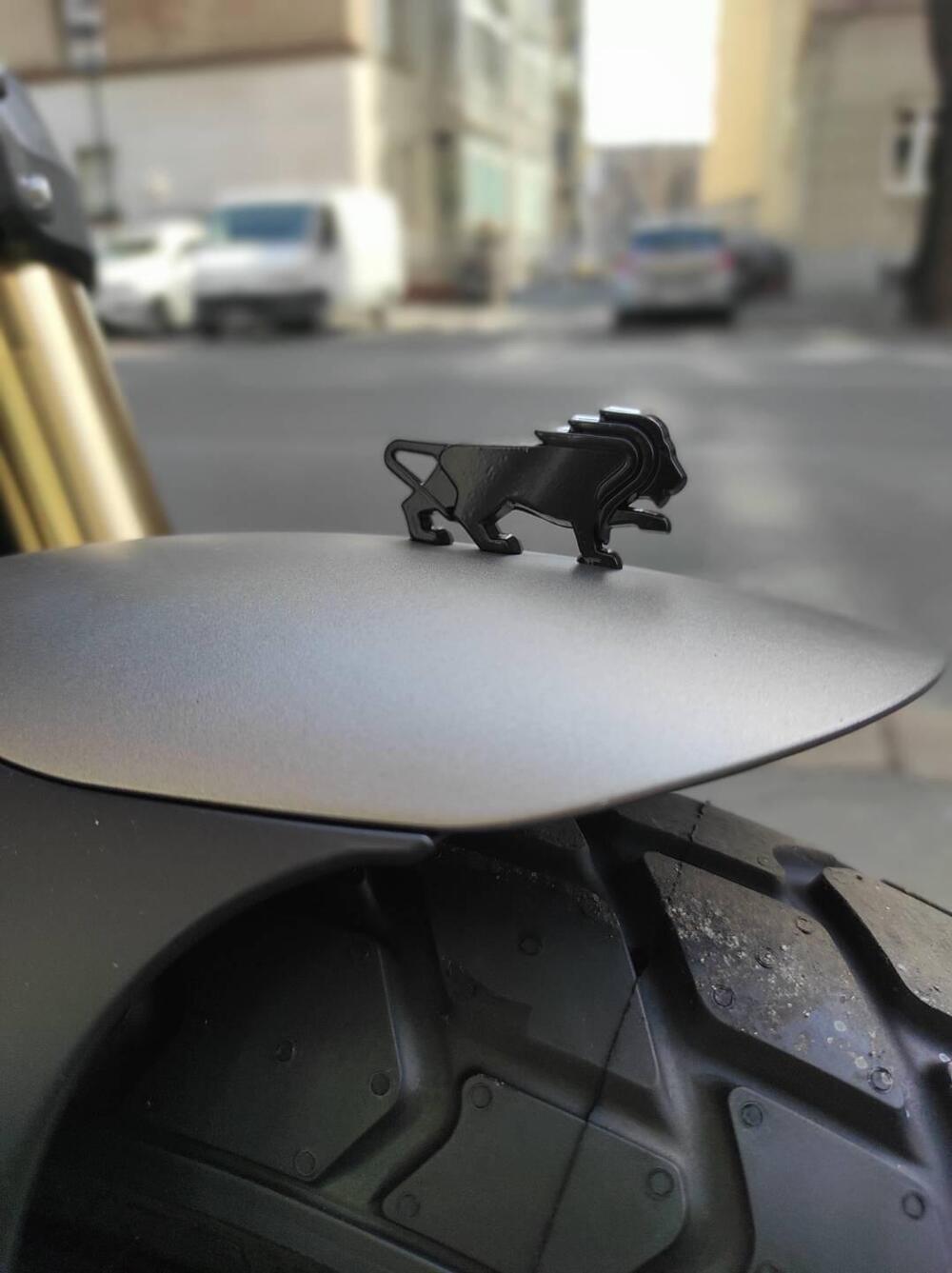 Benelli Leoncino 800 (2022 - 25) (16)