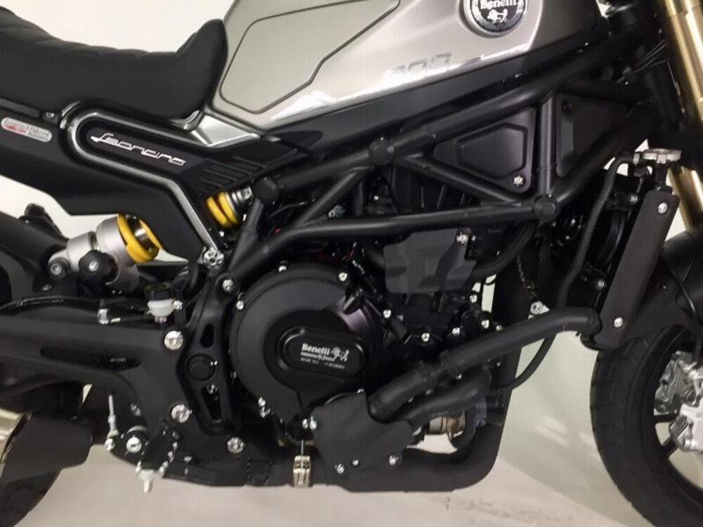 Benelli Leoncino 800 (2022 - 25) (3)
