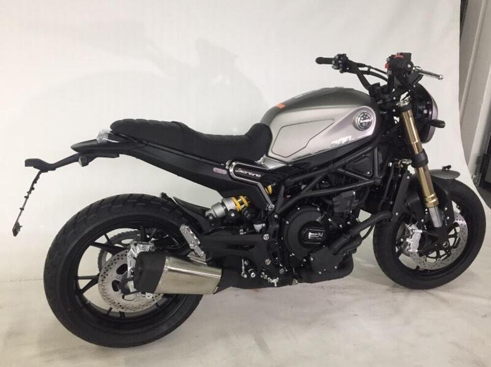 Benelli Leoncino 800 (2022 - 25) (5)