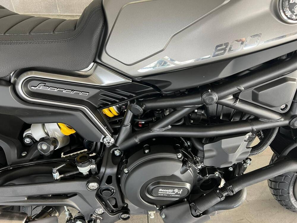 Benelli Leoncino 800 (2022 - 25) (6)
