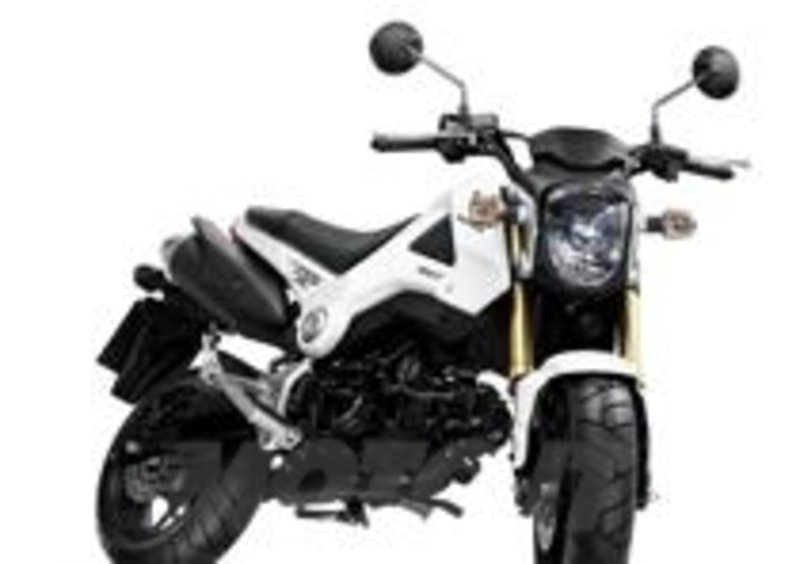 Honda MSX125 white
