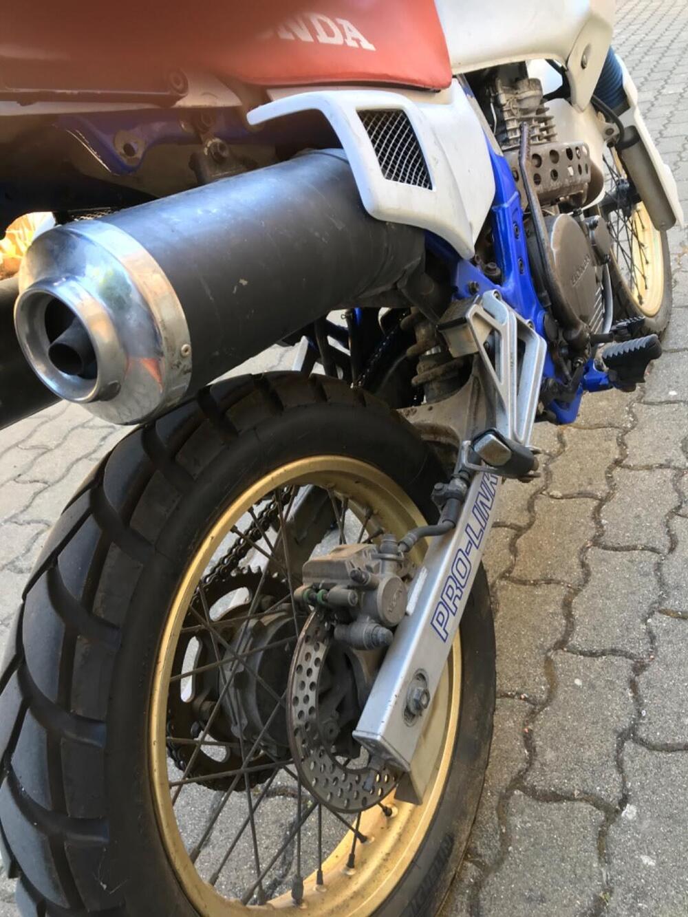 Honda Dominator 650  (2)