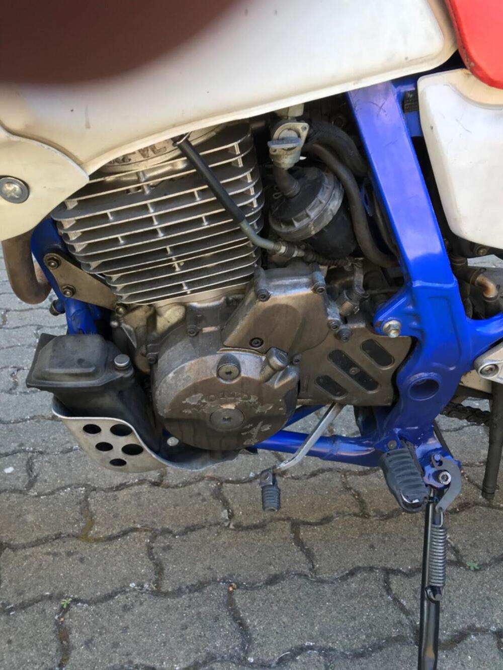 Honda Dominator 650  (4)