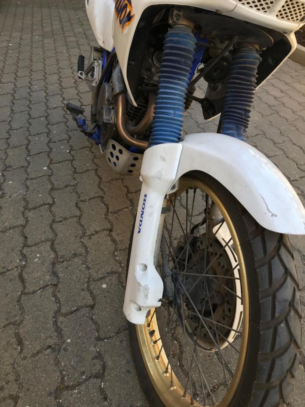 Honda Dominator 650  (5)