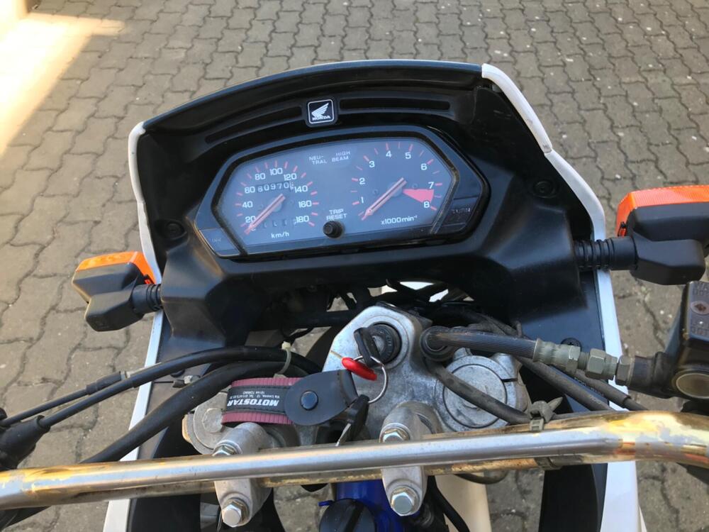 Honda Dominator 650  (7)