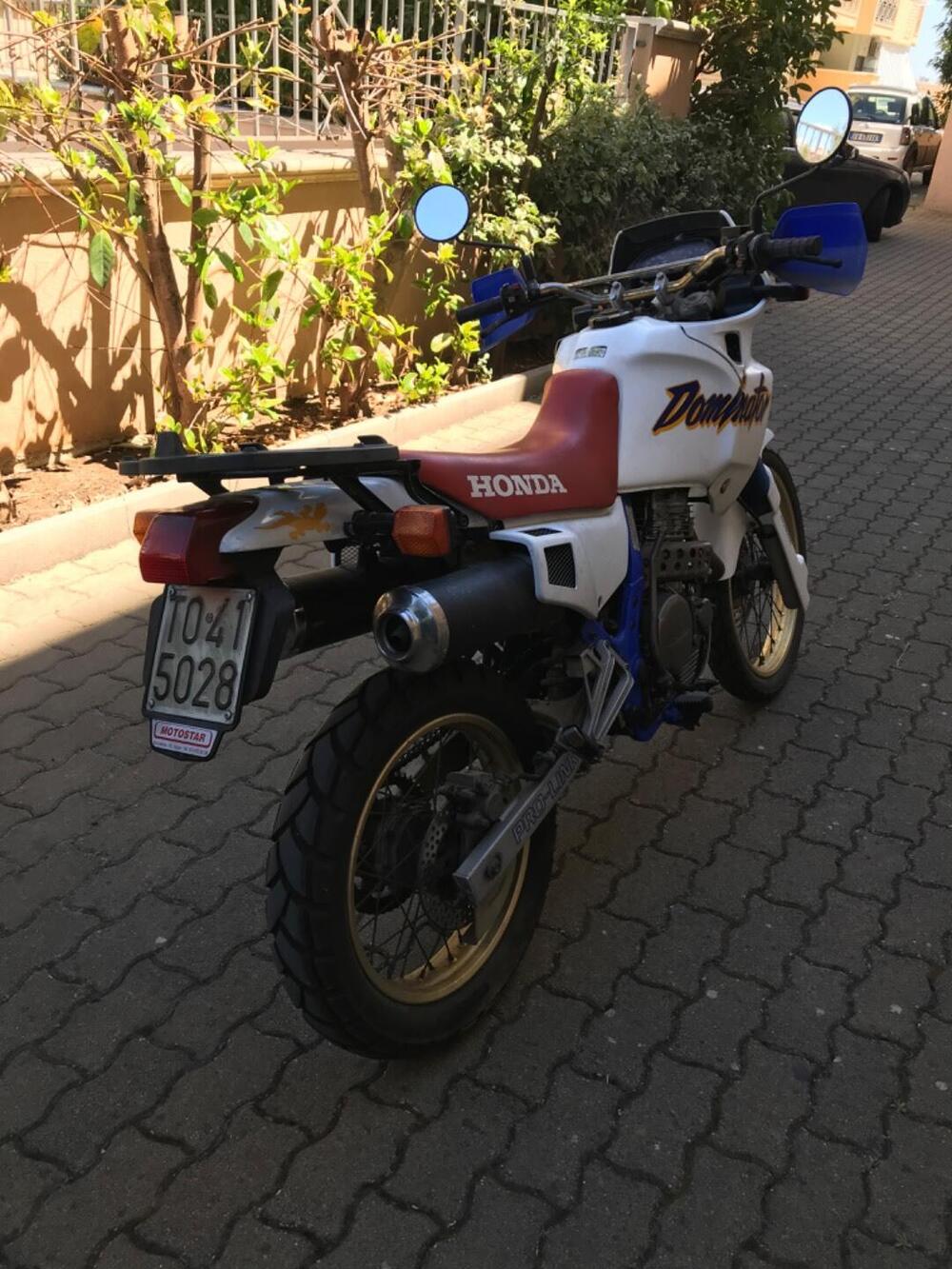 Honda Dominator 650  (8)