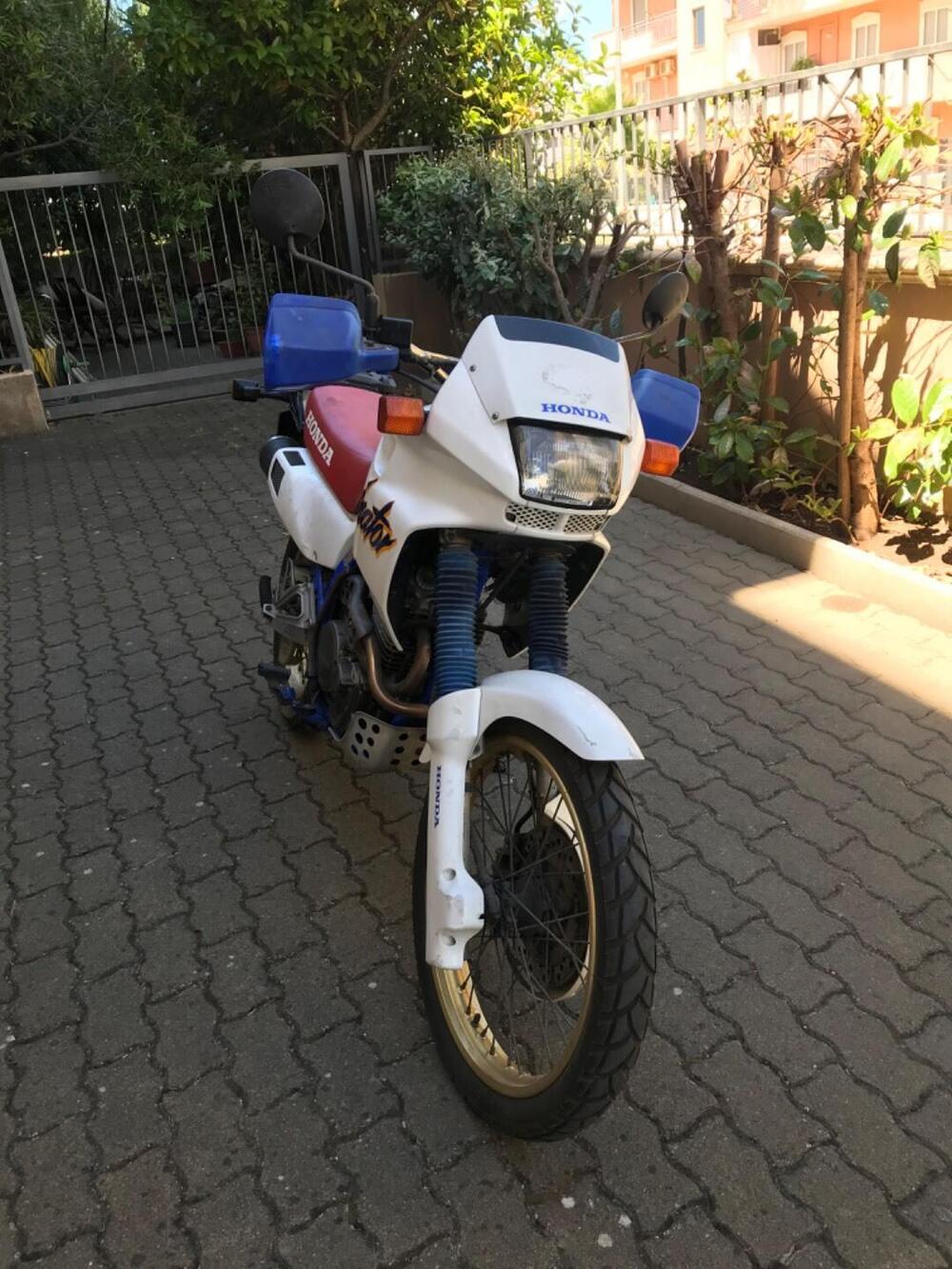 Honda Dominator 650  (9)