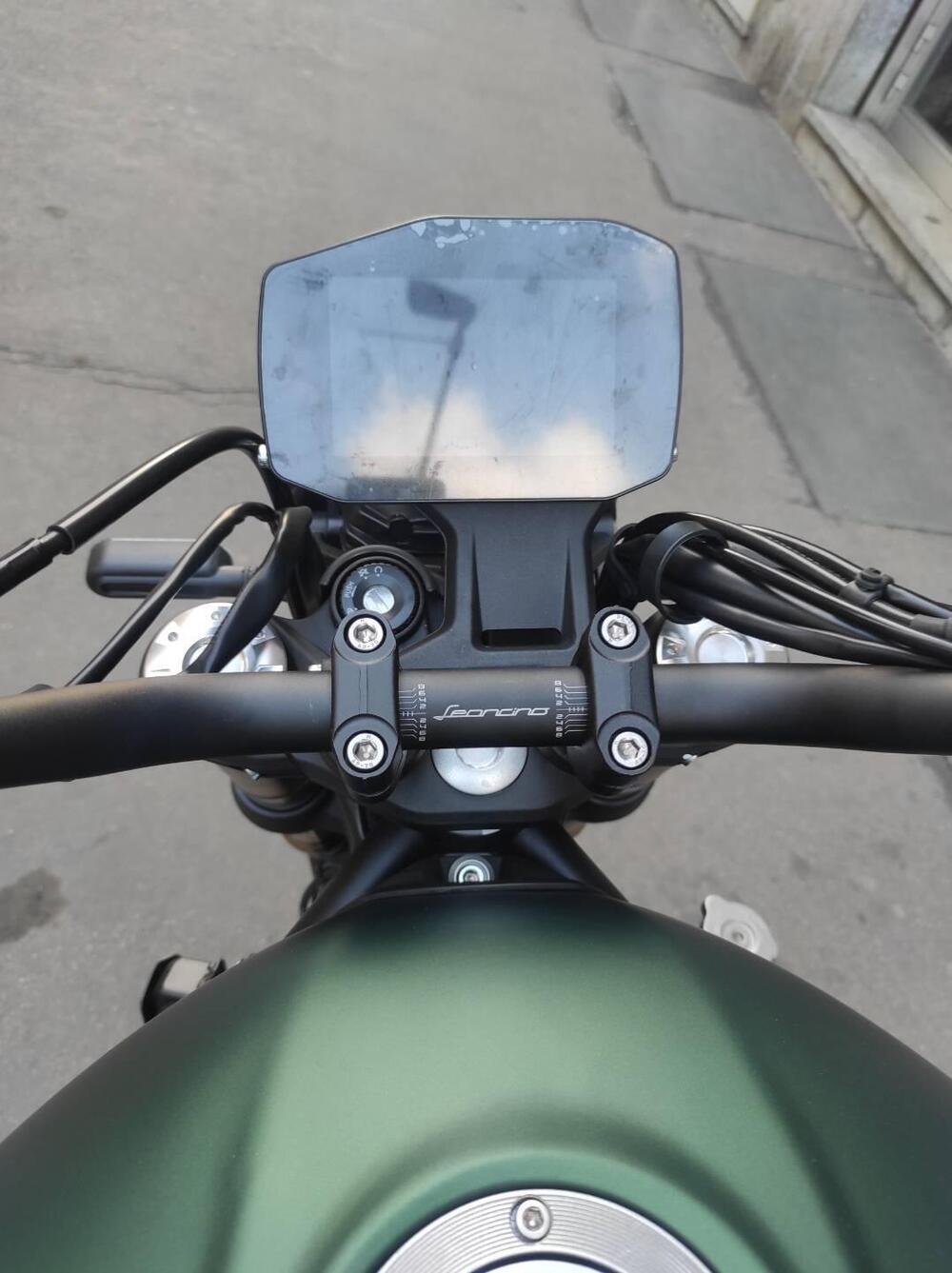 Benelli Leoncino 800 (2022 - 25) (7)