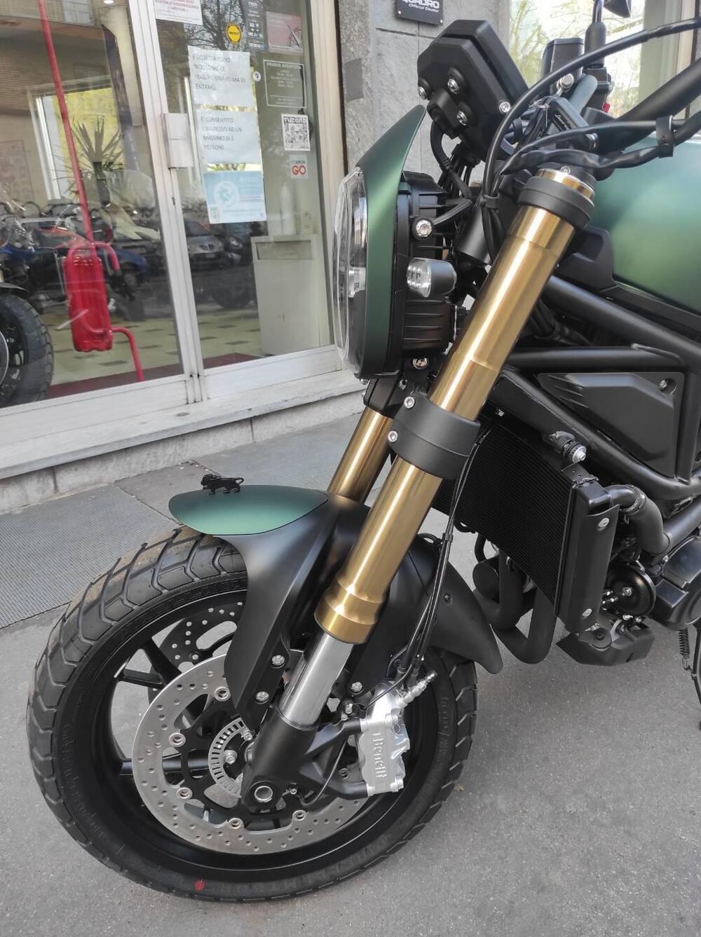 Benelli Leoncino 800 (2022 - 25) (9)