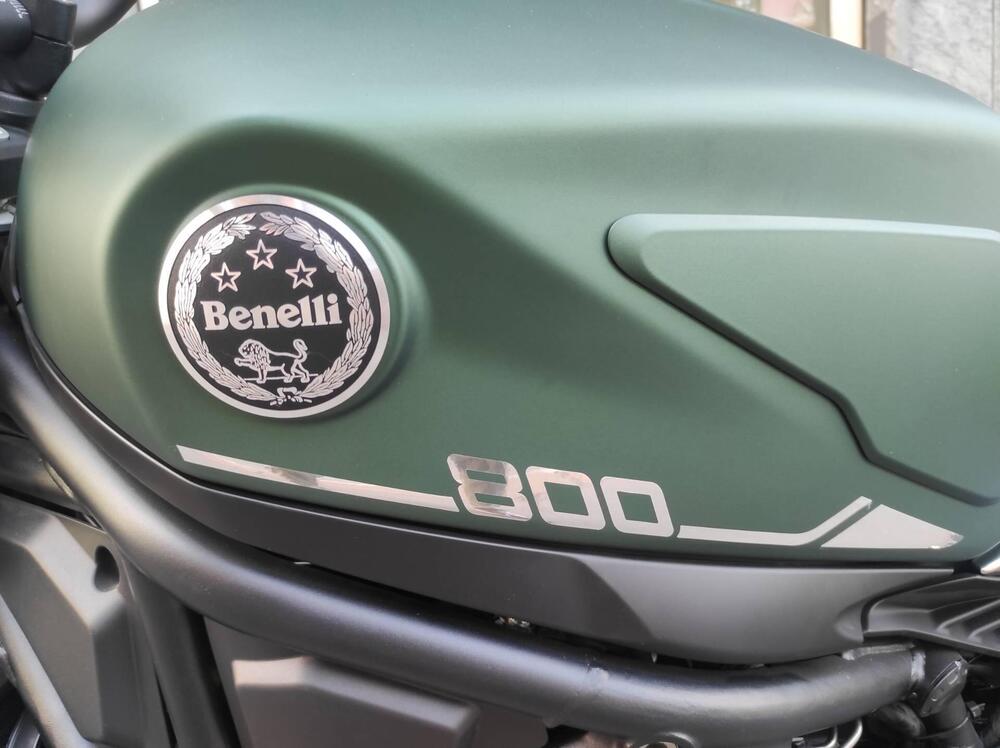 Benelli Leoncino 800 (2022 - 25) (14)