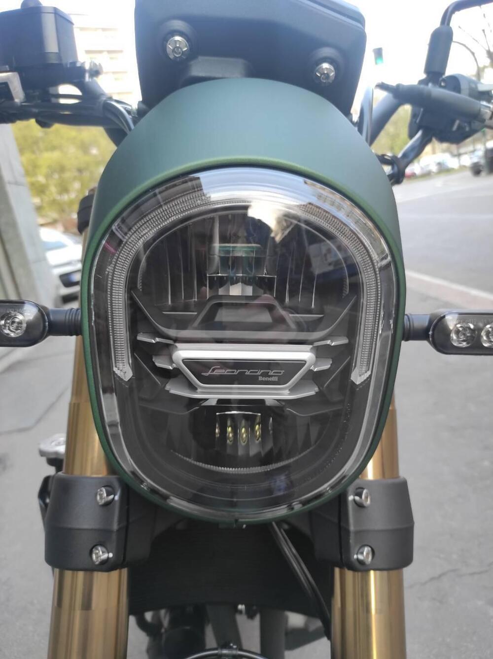 Benelli Leoncino 800 (2022 - 25) (6)