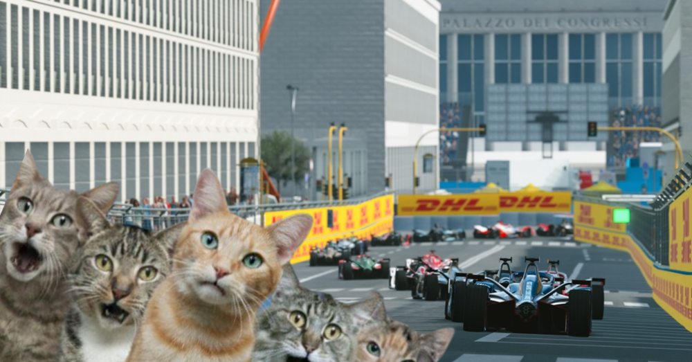 Formula E, l&#039;incredibile storia dei gatti intrappolati nel circuito di Roma