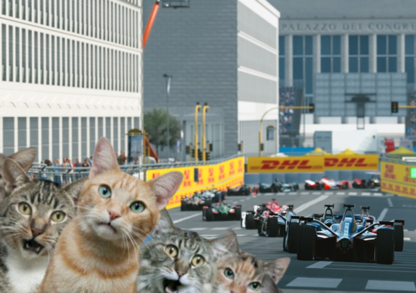 Formula E, l'incredibile storia dei gatti intrappolati nel circuito di Roma