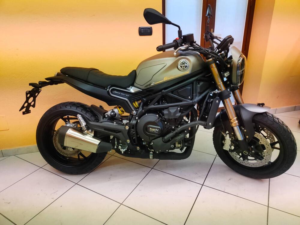 Benelli Leoncino 800 (2022 - 25)