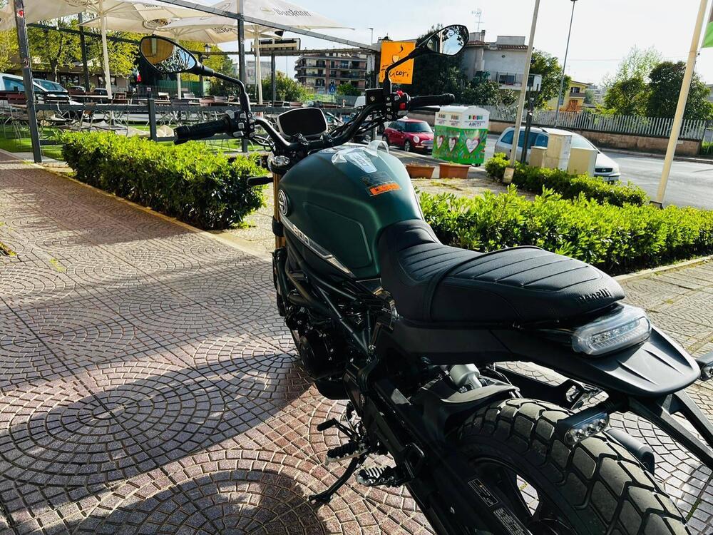 Benelli Leoncino 800 (2022 - 25) (9)