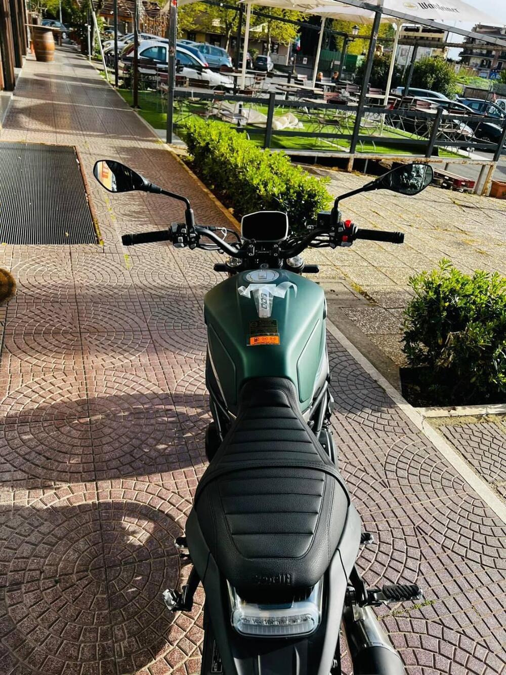 Benelli Leoncino 800 (2022 - 25) (13)
