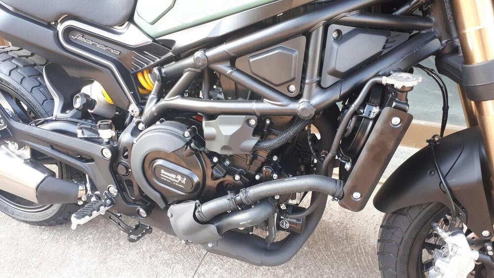 Benelli Leoncino 800 (2022 - 25) (4)