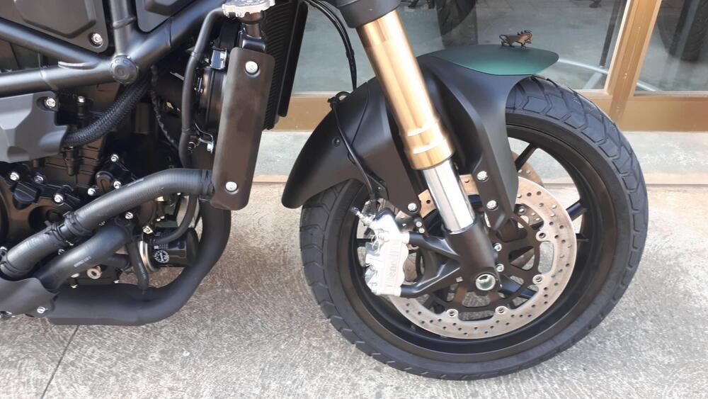 Benelli Leoncino 800 (2022 - 25) (14)