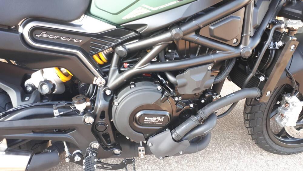 Benelli Leoncino 800 (2022 - 25) (5)