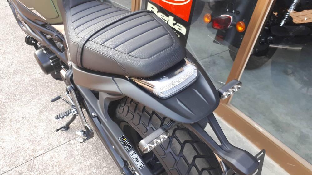 Benelli Leoncino 800 (2022 - 25) (9)