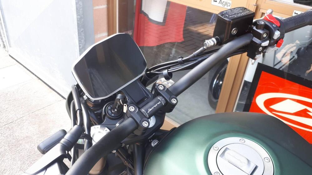 Benelli Leoncino 800 (2022 - 25) (15)