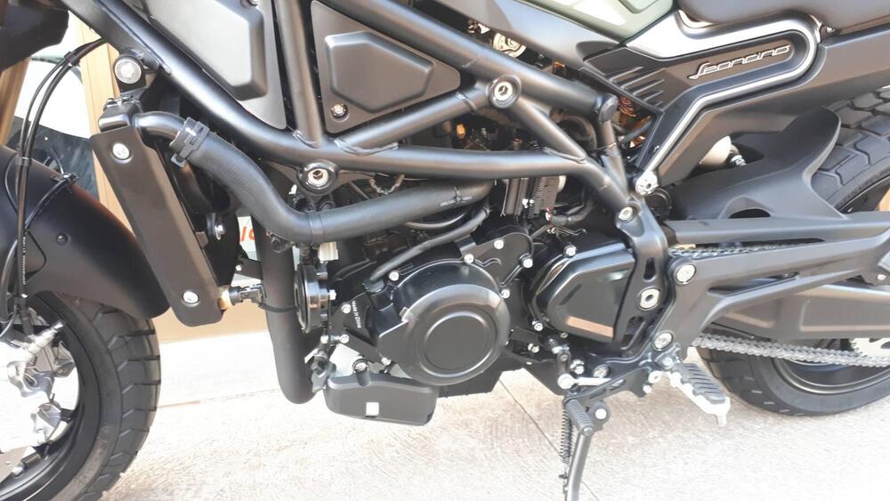 Benelli Leoncino 800 (2022 - 25) (19)