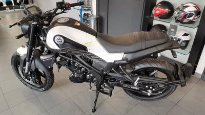 Benelli Leoncino 125 (2022 - 25) nuova