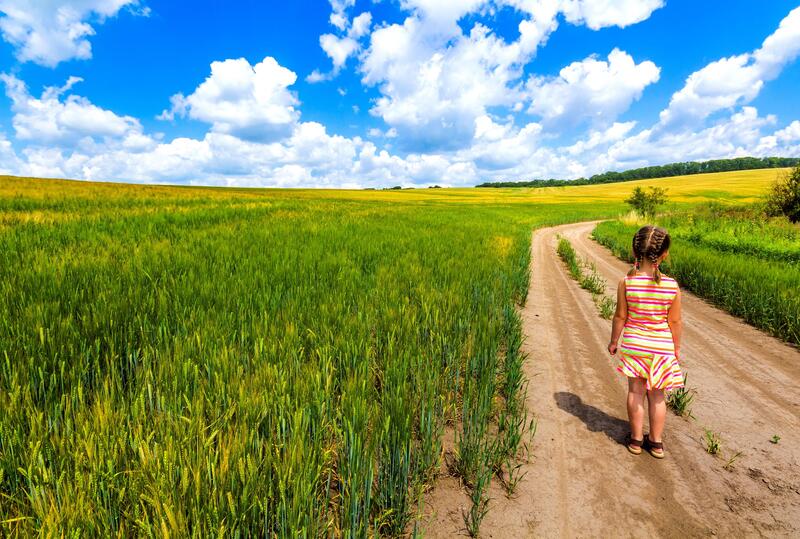 L&#039;Italia importa pi&ugrave; del 40% del grano duro dall&#039;estero