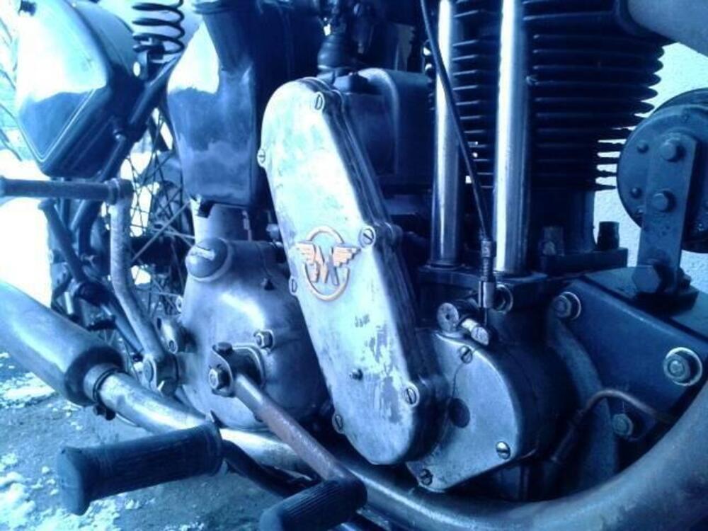 Matchless MATCHLESS 350 G3L- 41 EX-WD-VERSIONE TRIALS SU BASE G3C  (13)