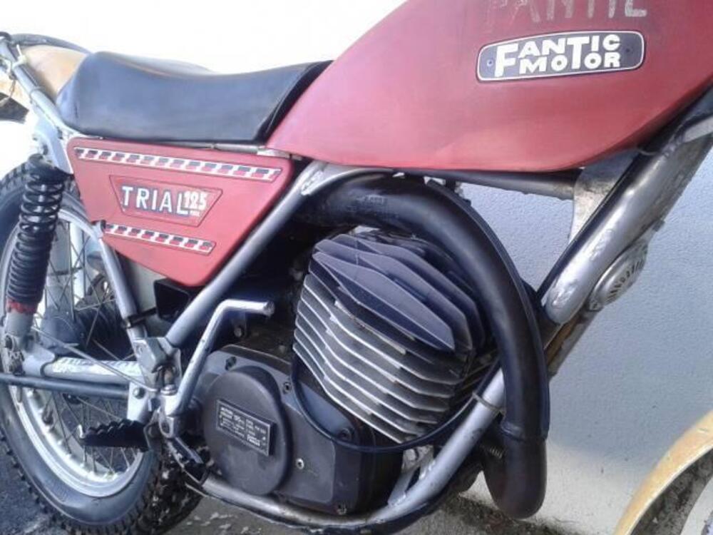 Fantic Motor FANTIC MOTOR TRIAL 125 TIPO TX 250 (9)