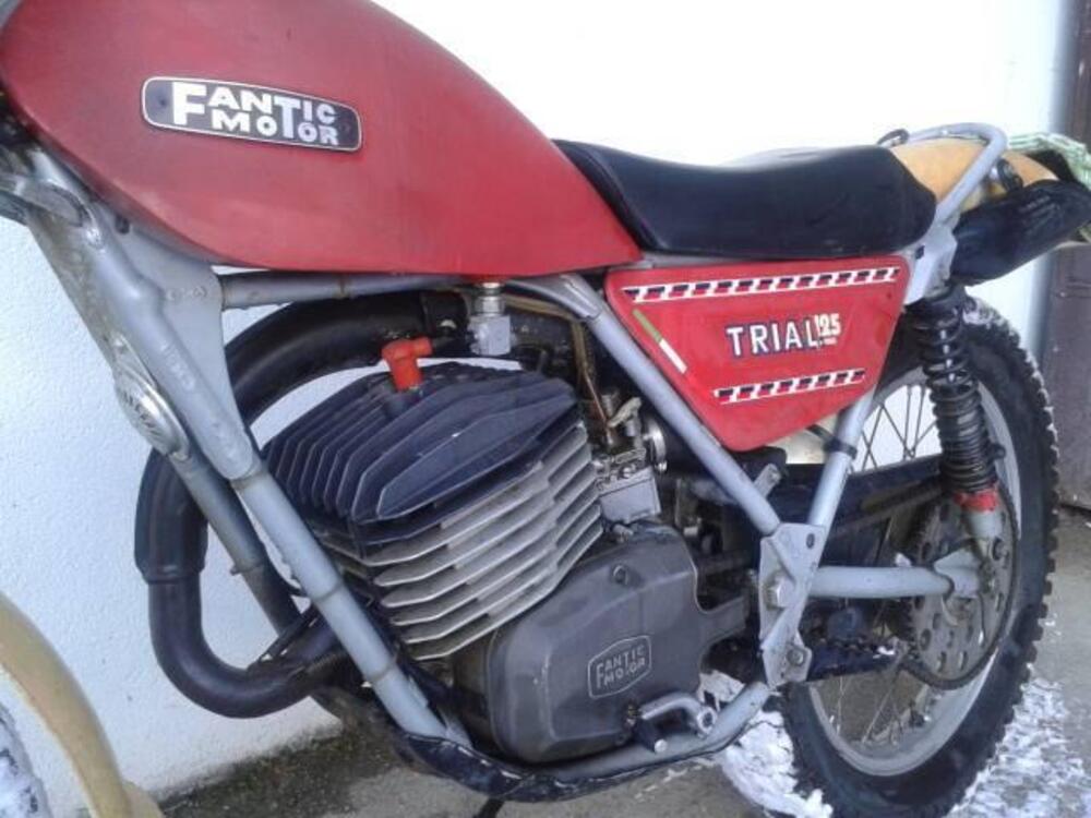 Fantic Motor FANTIC MOTOR TRIAL 125 TIPO TX 250 (11)