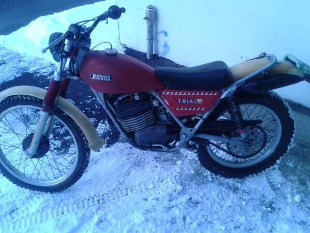 Fantic Motor FANTIC MOTOR TRIAL 125 TIPO TX 250 (12)