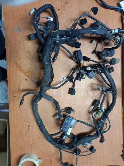 Impianto elettrico Burgman 650 2006 2011 Suzuki