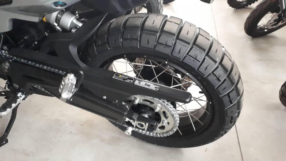 Benelli Leoncino 800 Trail (2022 - 25) (7)