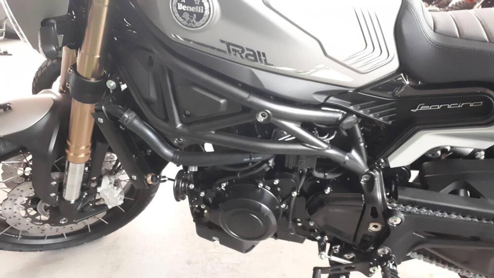 Benelli Leoncino 800 Trail (2022 - 25) (8)